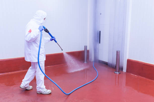 Boat and Dock Cleaning in Cresson, TX